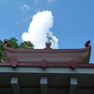 Passenger Pigeon Memorial - Sept. 2014