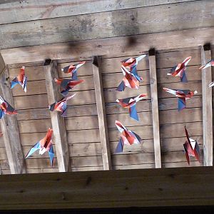 Passenger Pigeon Memorial - Sept. 2014