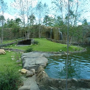 African Painted Dog Exhibit - Sept. 2014