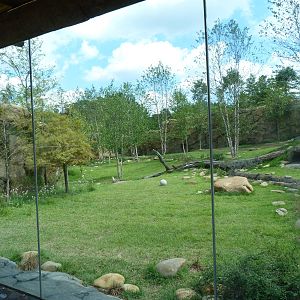 African Painted Dog Exhibit - Sept. 2014