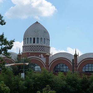 Elephant House - September 2014