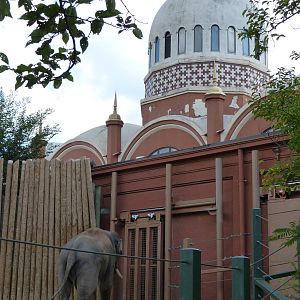 Elephant House - September 2014