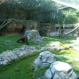 Islands Rotation Exhibit