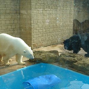 Dennis and Zara 2009