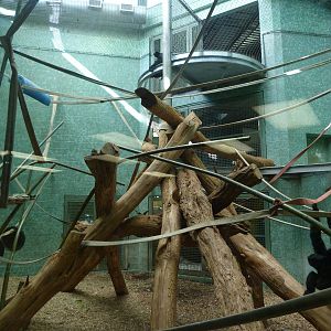 Islands Rotation Exhibit (Indoors)