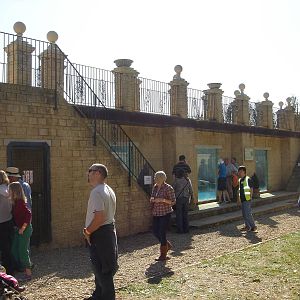 Bear enclosure designed by Jim Clubb 2009.