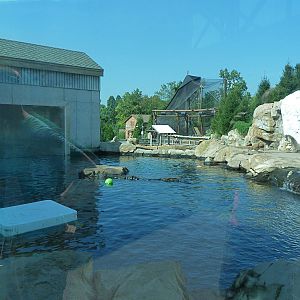 Glacier Run, Sept. 2014