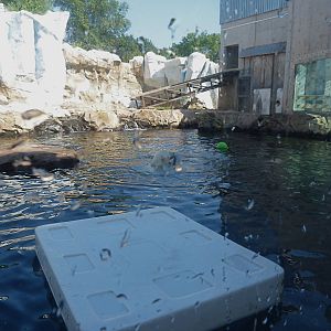 Glacier Run, Sept. 2014