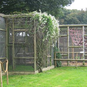 Small Primate cages 2011.