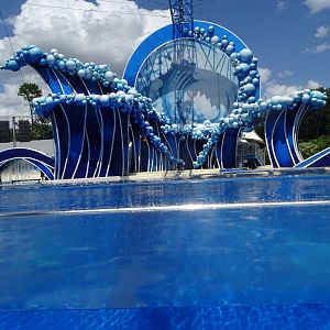 Blue Horizons Stage at SeaWorld Orlando