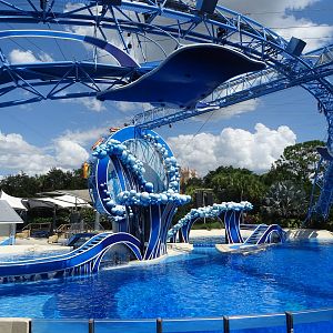 View of Dolphin Stadium at SeaWorld Orlando