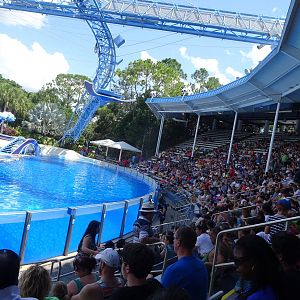 View of Dolphin Stadium at SeaWorld Orlando