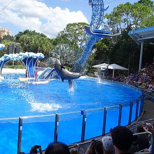 Blue Horizons at SeaWorld Orlando