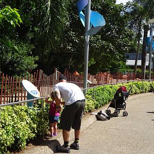 Flamingo Exhibit at SeaWorld Orlando