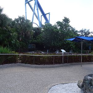 Pelican Exhibit at SeaWorld Orlando