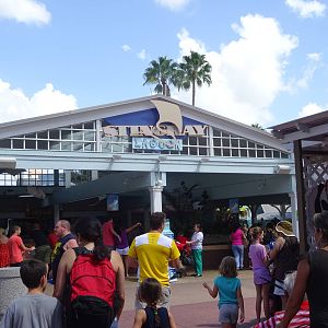 Stingray Lagoon at SeaWorld Orlando