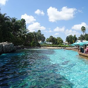 Dolphin Cove at SeaWorld Orlando