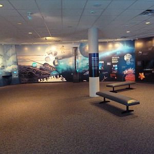 Arctic Canada - Exhibits + Signs