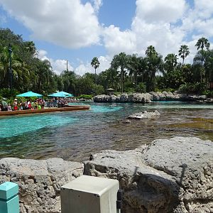 General View of Dolphin Cove at SeaWorld Orlando