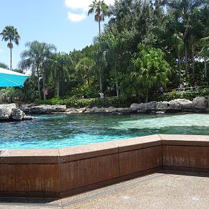 General View of Dolphin Cove at SeaWorld Orlando