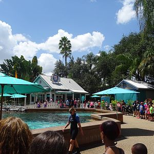 Dolphin Cove Feeding Station at SeaWorld Orlando