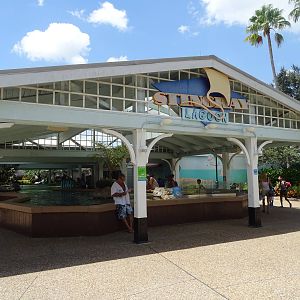 Stingray Lagoon at SeaWorld Orlando