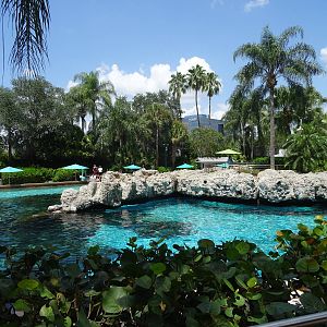 General View of Dolphin Cove at SeaWorld Orlando