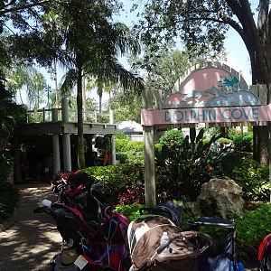 Dolphin Cove Sign at SeaWorld