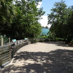 View Towards Alligator Exhibit at SeaWorld Orlando