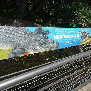 American Alligator Sign at SeaWorld Orlando