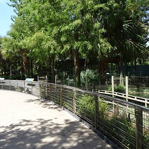 View Towards Alligator Exhibit at SeaWorld Orlando