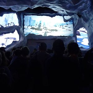 Waiting to Enter Antarctica: Empire of the Penguin at SeaWorld Orlando