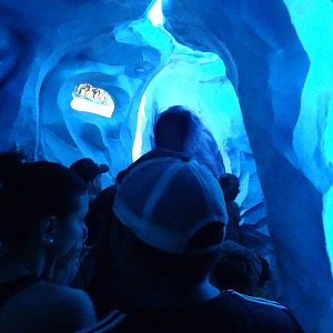 Interior View of Antarctica: Empire of the Penguin at SeaWorld Orlando