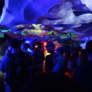 Queue Area for the Antarctica: Empire of the Penguin Ride at SeaWorld Orlan