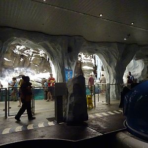 Antarctica: Empire of the Penguin Disembarkation Area at SeaWorld Orlando