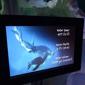 Antarctica: Empire of the Penguin - Penguin Sign at SeaWorld Orlando