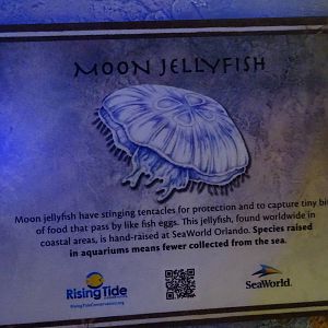 Jewel of the Sea Aquarium Sign Example at SeaWorld Orlando