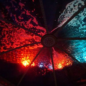Ceiling Aquarium at SeaWorld Orlando