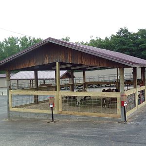 Goat Petting Enclosure