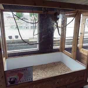 Marmoset Exhibit
