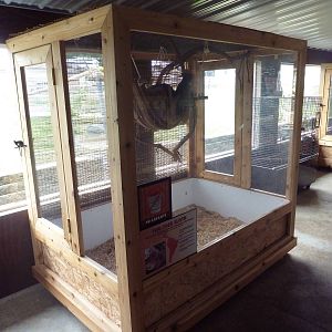 Two-Toed Sloth Exhibit