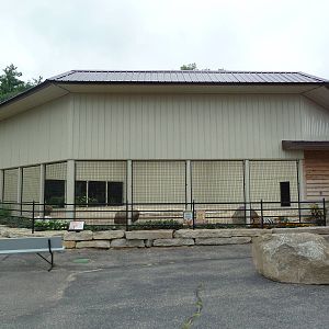 Cat Complex - Bengal Tiger Exhibit