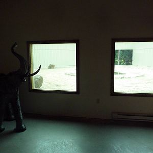 Cat Complex - Bengal Tiger Exhibit Indoor Viewing Area