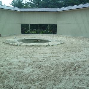 Cat Complex - Desert Bengal Tiger Exhibit
