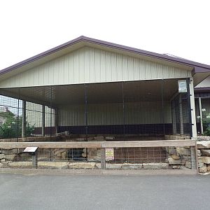 Cat Complex - White Bengal Tiger Exhibit