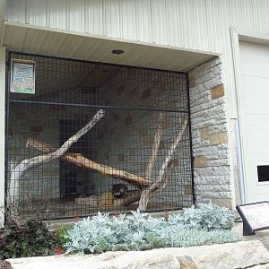 Cat Complex - Clouded Leopard Exhibit