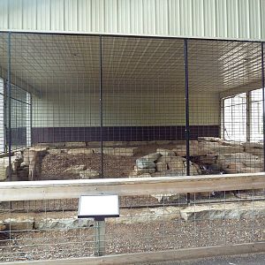 Cat Complex - Cougar Exhibit