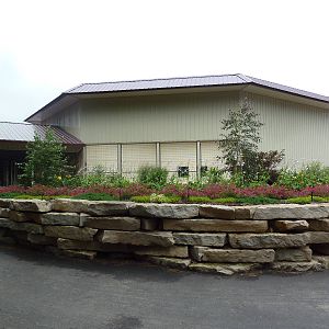 Cat Complex - Surrounding Rockwork