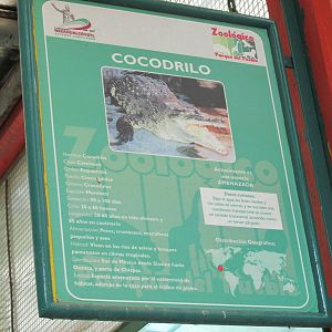 crocodile sign neza zoo
