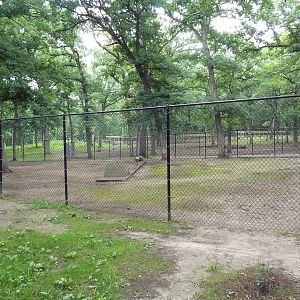 Capybara Exhibit